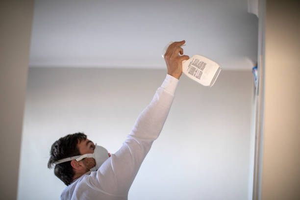 Best Industrial Mold Remediation in Worth, IL