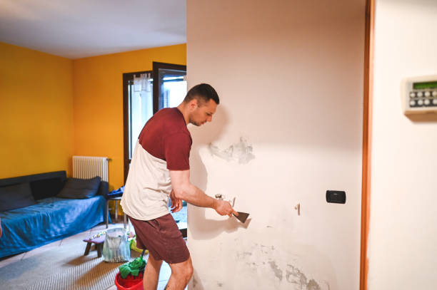 Best DIY Mold Remediation Support Services in Worth, IL